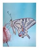 LED-Wandbild "Schmetterling" mit 3 LED-Lämpchen, 80 x 60 cm