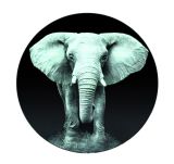 Haku Beistelltisch mit Motivdruck "Elefant" schwarz-grau