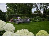 Lesli Living Eck-Lounge-Set Marah 260x200cm