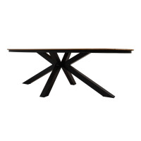 Lesli Living Diningtisch Arezzo oval 240x110cm 6