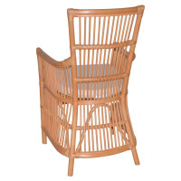 Rattansessel - Rattan-Armlehnstuhl inkl. Sitzkissen in Honigfarben 3