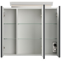 Badezimmer Spiegelschrank 3-türig LED-Lampe 75 cm Grafi
